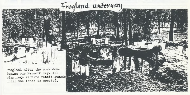 August 1992 - Frogland Underway